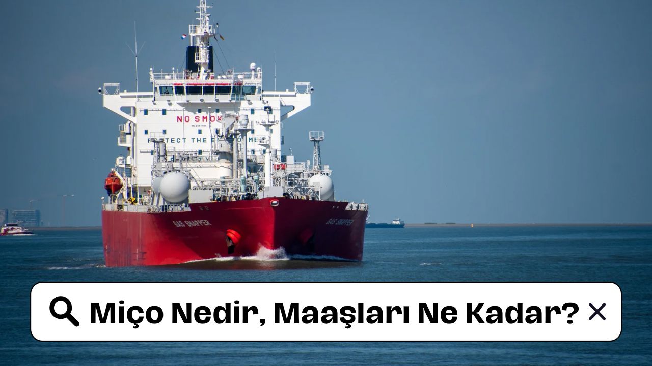 Miço Maaşları Ne Kadar? Miço Nedir, Ne İş Yapar?