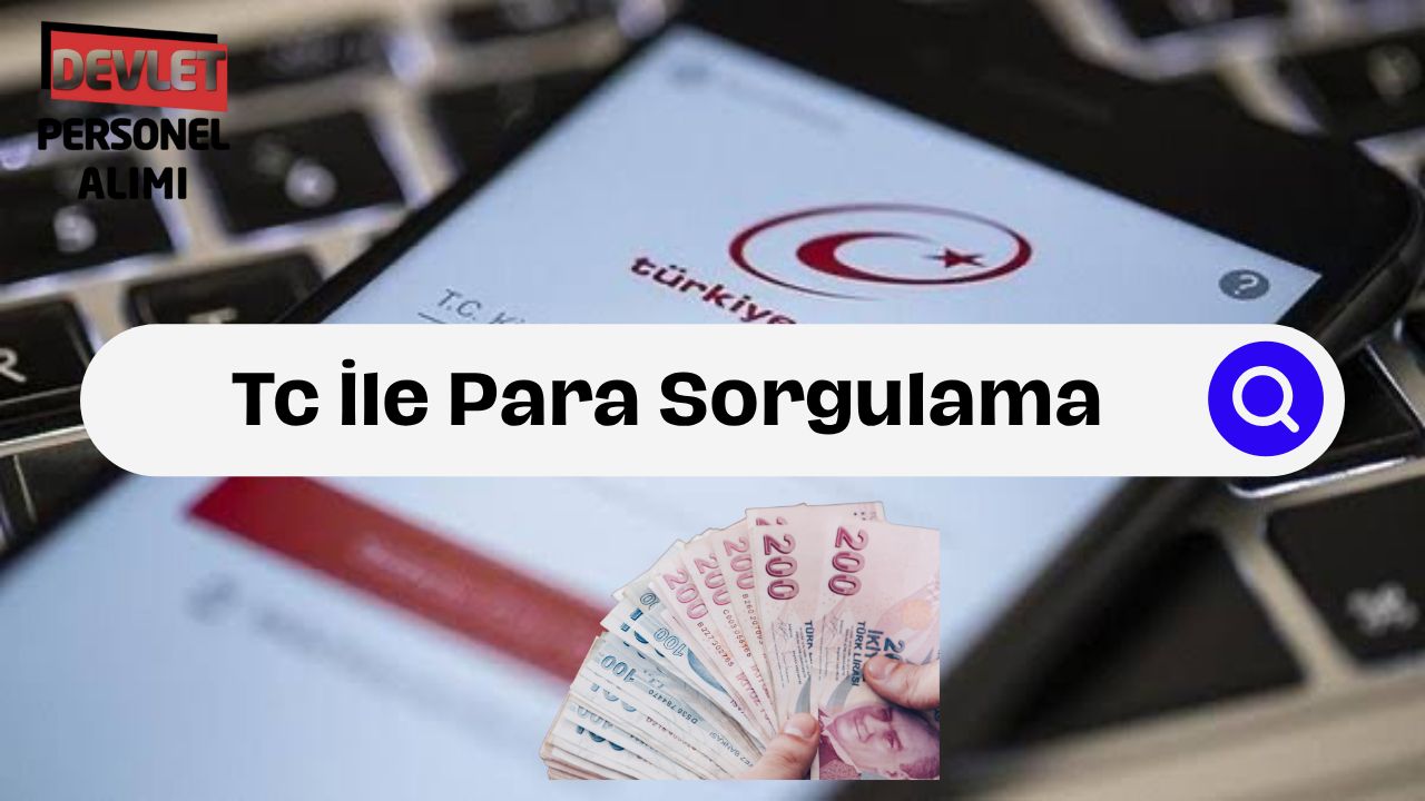 TC ile Para Sorgulama Detaylı Kontrol Et