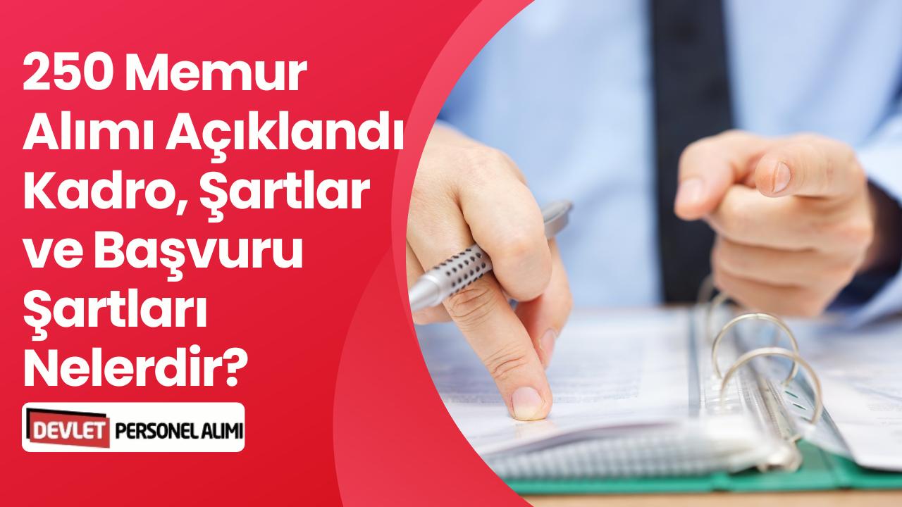 Toplu Alım Açıklandı! 2026 Yılında 250 Vergi Müfettiş Yardımcısı Alınacak