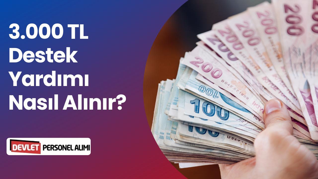 3.000 TL Nakdi Destek Nasıl Alınır? Devlet Destek Başvurusu