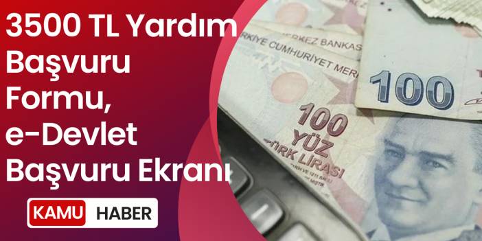 3500 TL Yardım Başvuru Formu, e-Devlet Başvuru Ekranı