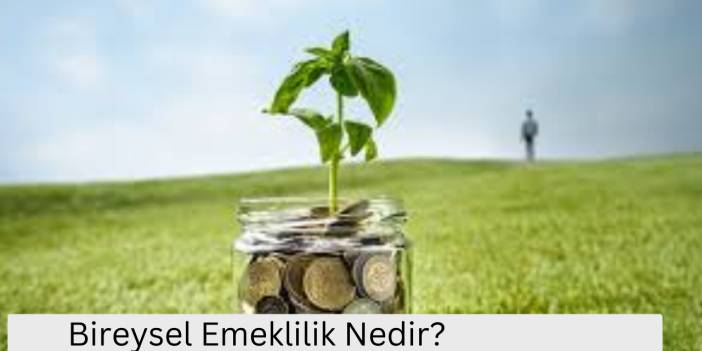 Bireysel Emeklilik Nedir?
