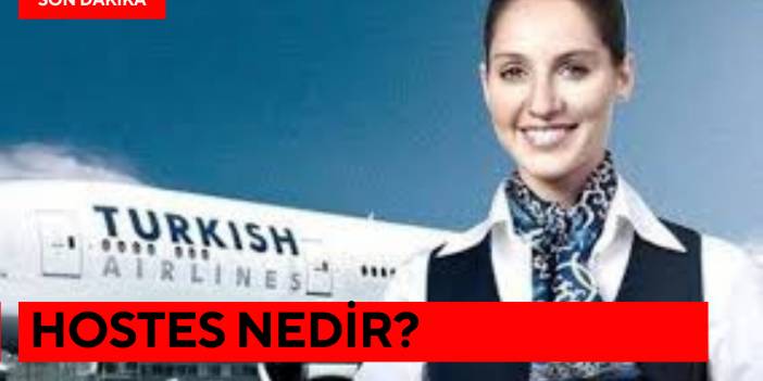 Hostes Nedir?