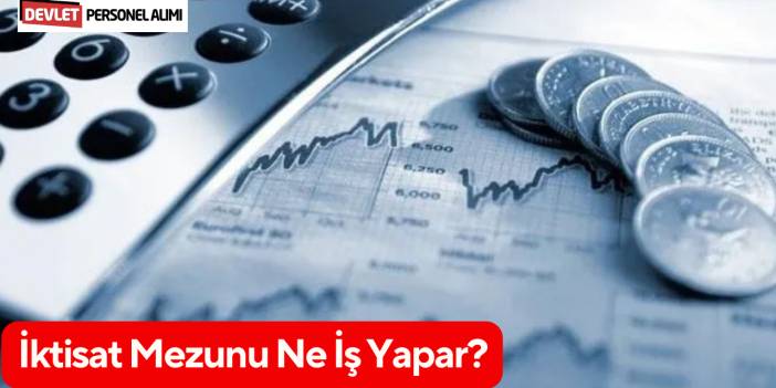 İktisat Mezunu Ne İş Yapar?