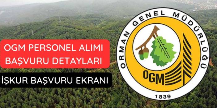 Orman Personel Alımı Başvuru Detayları 2025 | OGM Başvuru Ekranı ve Şartları Nelerdir?