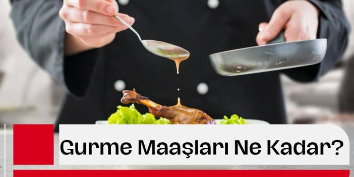 Gurme Maaşları Ne Kadar? Gurme Ne İş Yapar?
