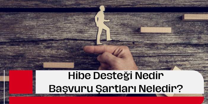 GAP, DAP, KOP ve DOKAP Hibe Desteği Nedir? Nasıl Başvurulur?