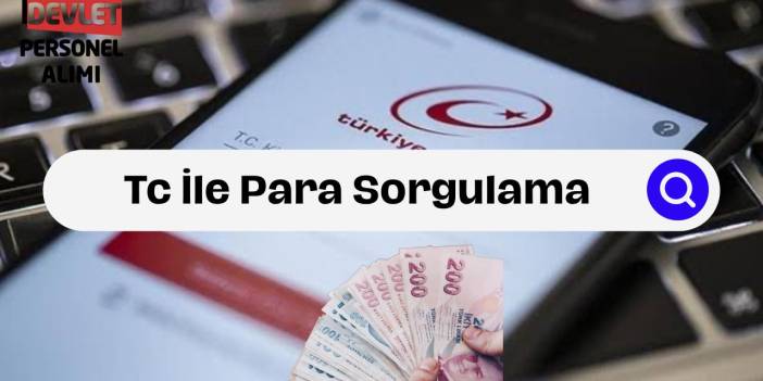 TC ile Para Sorgulama Detaylı Kontrol Et