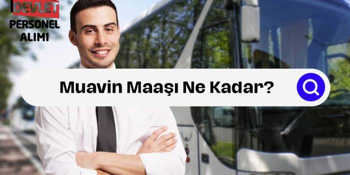 Muavin Maaşı Ne Kadar? Seferlere Göre Kazanç Miktarları