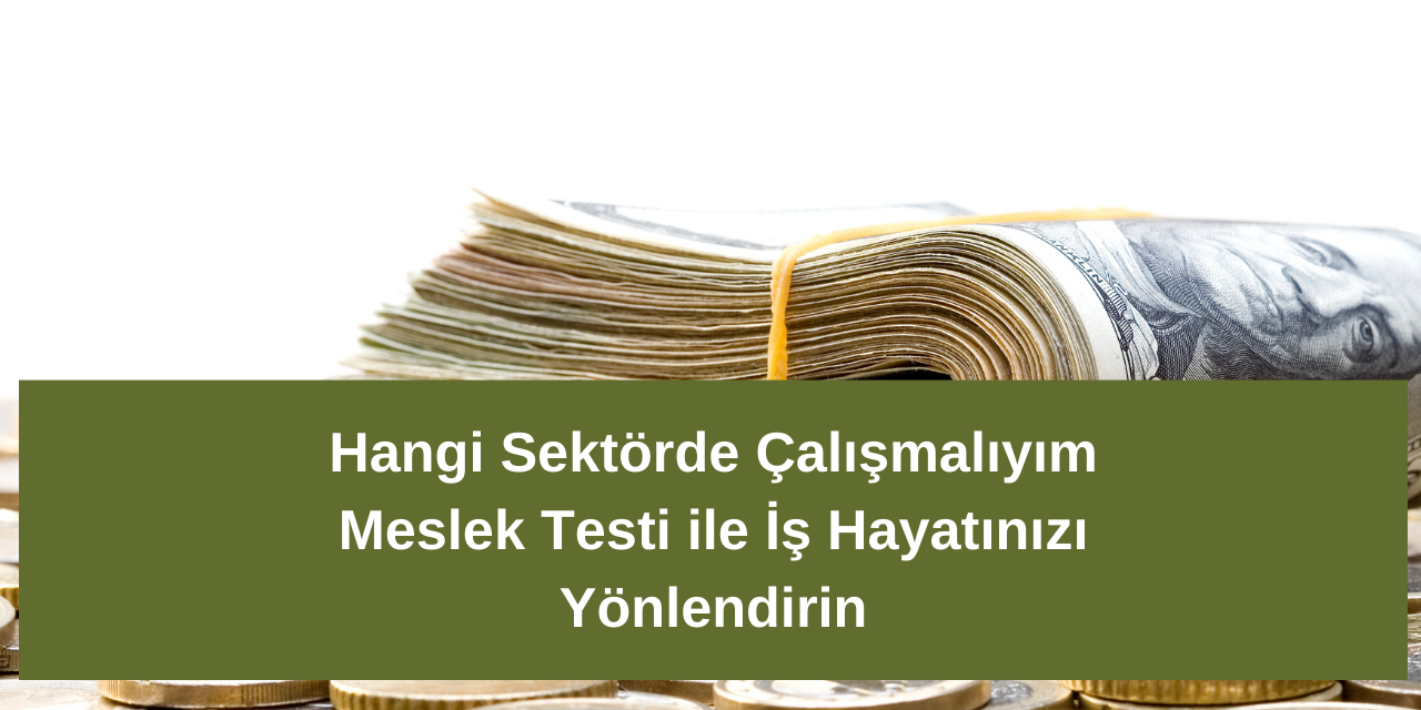 hangi-sektorde-calismaliyim-meslek-testi-ile-is-hayatinizi-yonlendirin.png