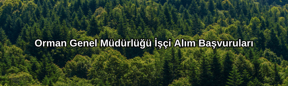 orman-genel-mudurlugu-ici-alim-basvurulari-001.png
