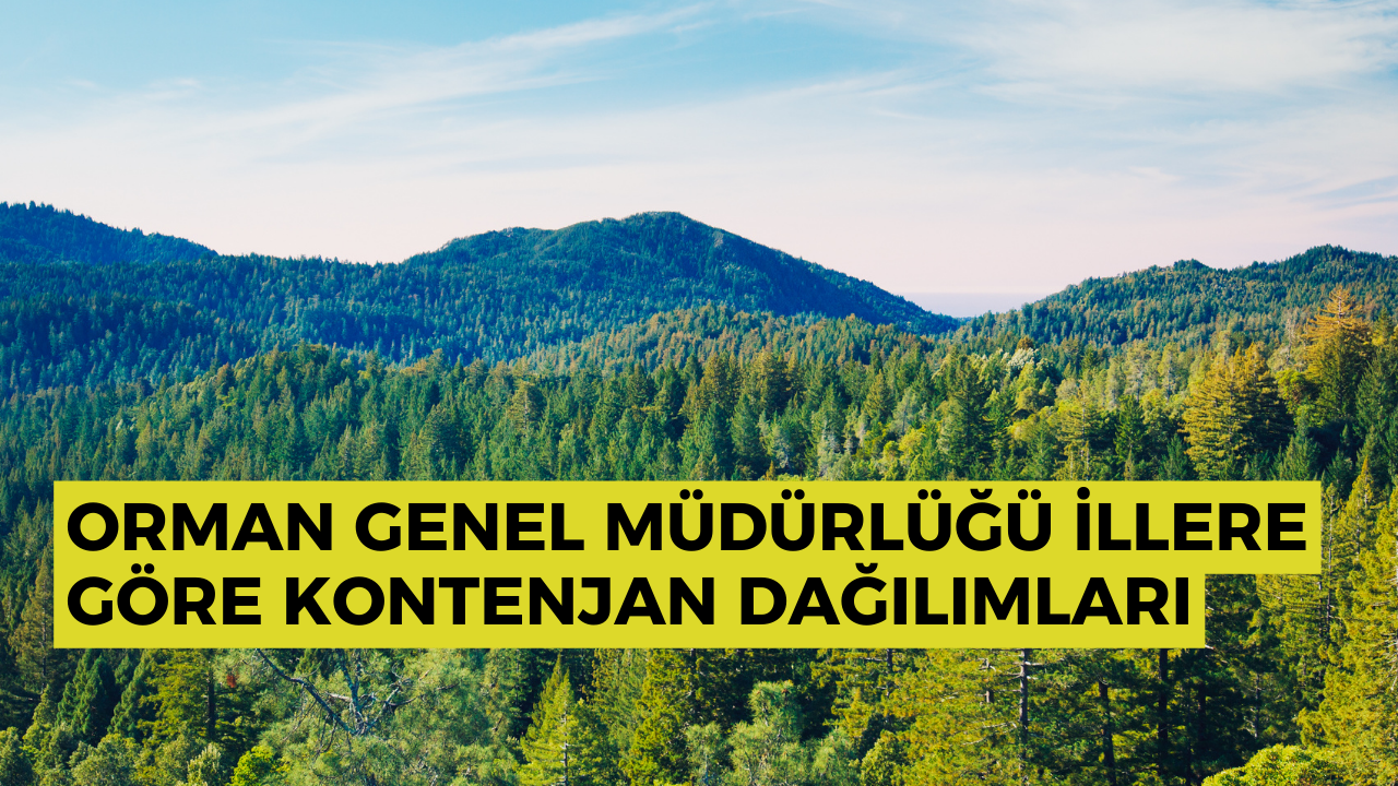 orman-genel-mudurlugu-illere-gore-kontenjan-dagilimlari.png