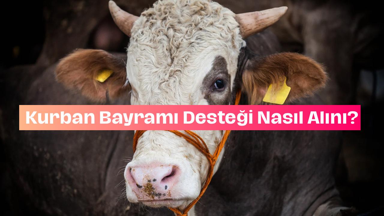 kurban-bayrami-destegi-ne-kadar-basvuru-sartlari-nelerdir.jpg
